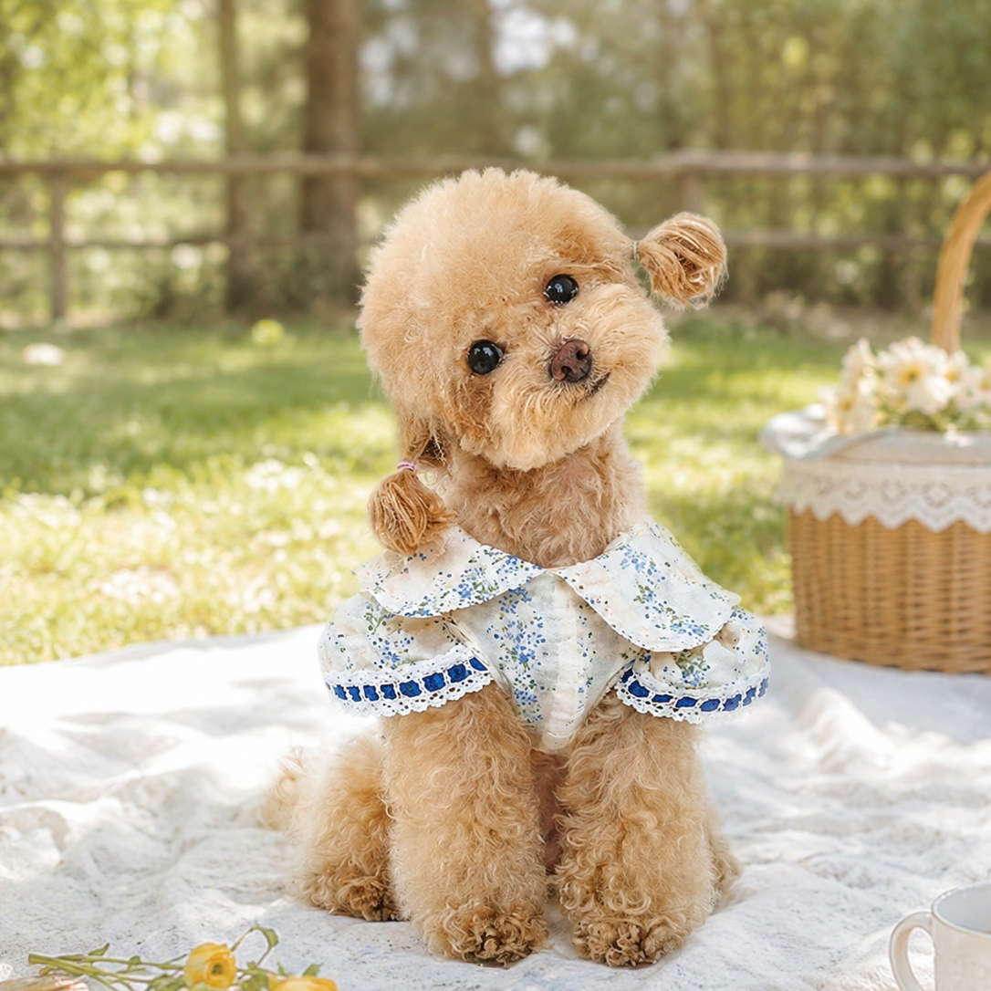 Dear Diary, Today I Wore Something Beautiful
