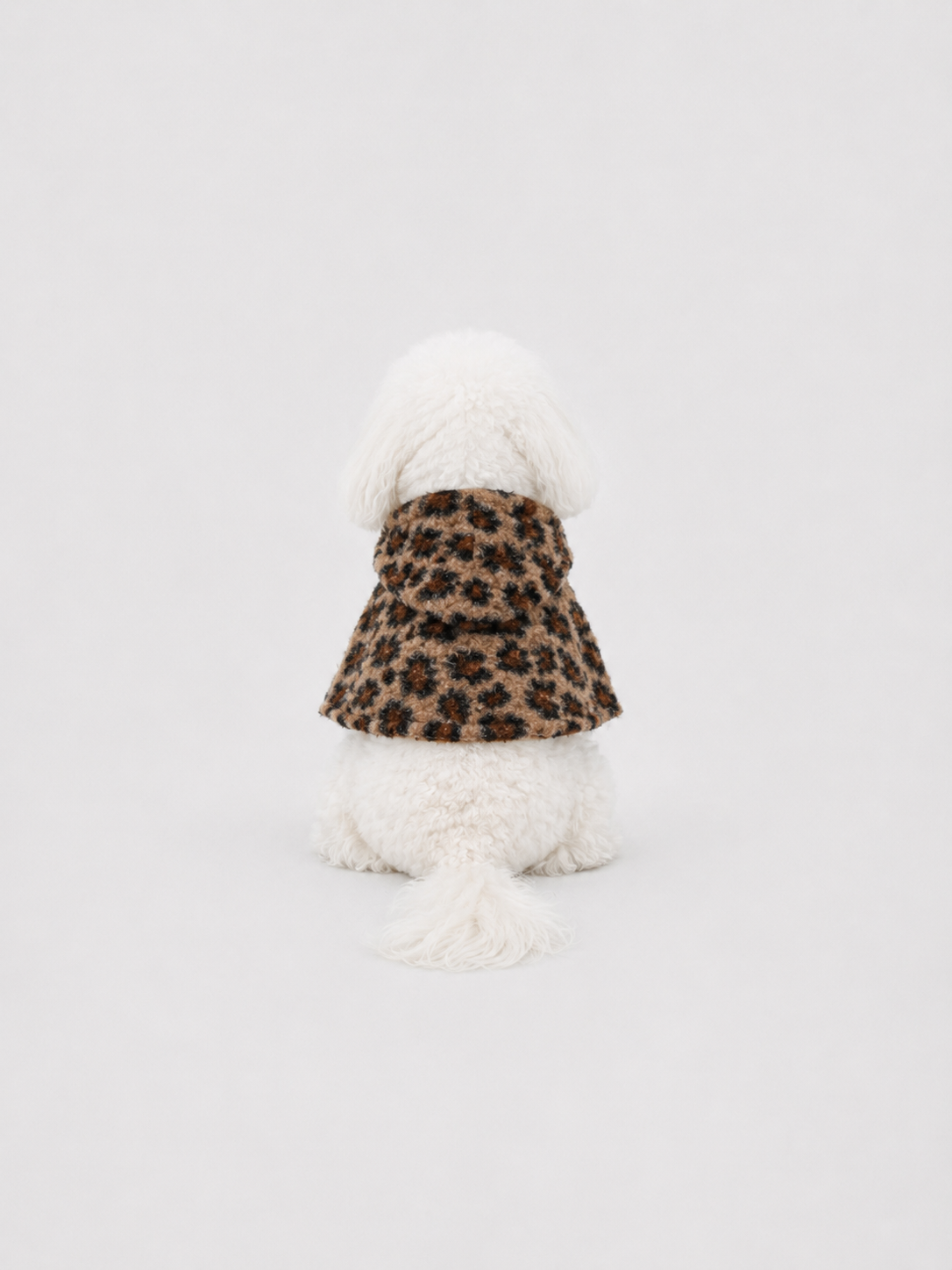 Mocha Leopard