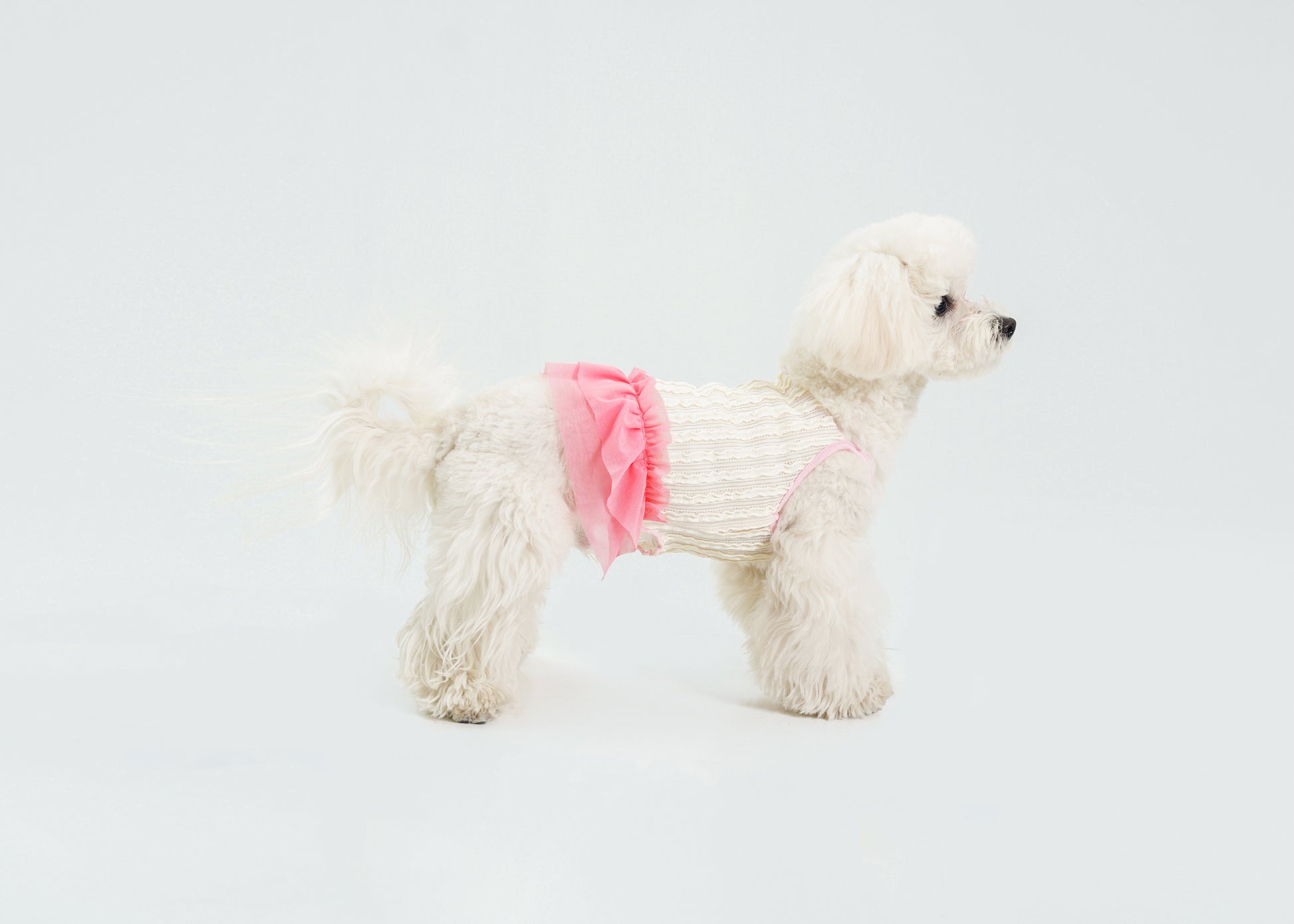 Dream Ballet（Pink）
