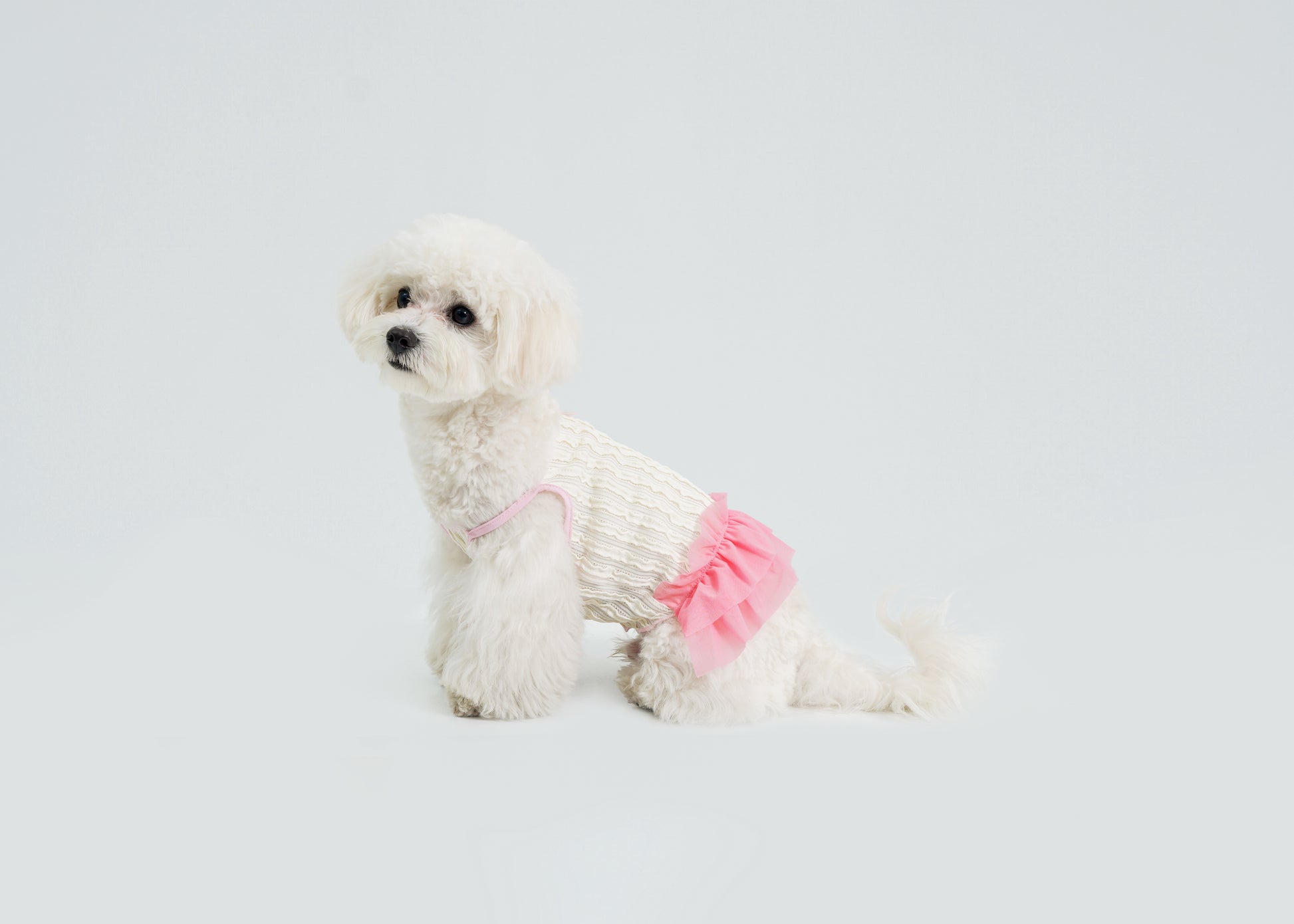 Dream Ballet（Pink）