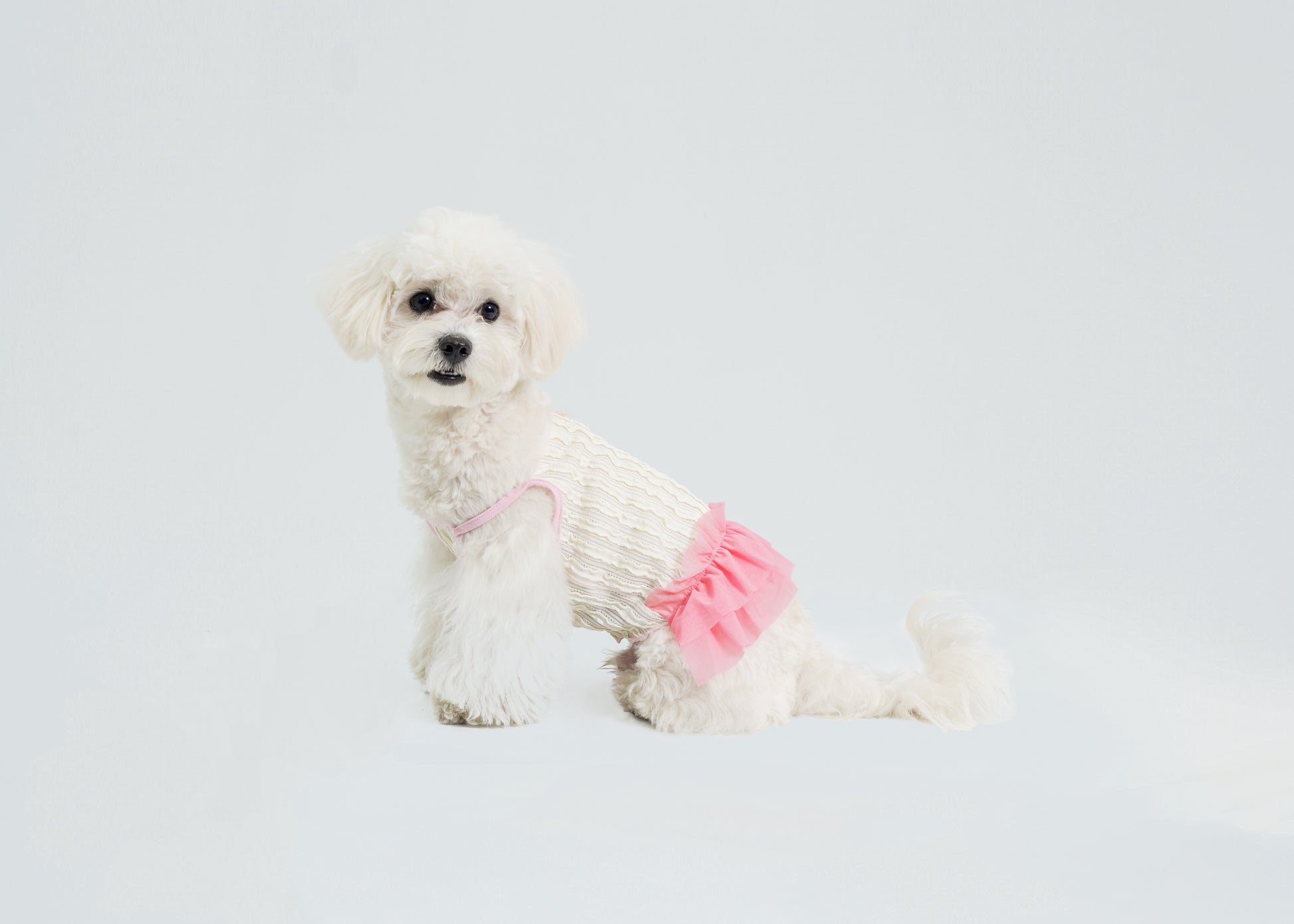 Dream Ballet（Pink）