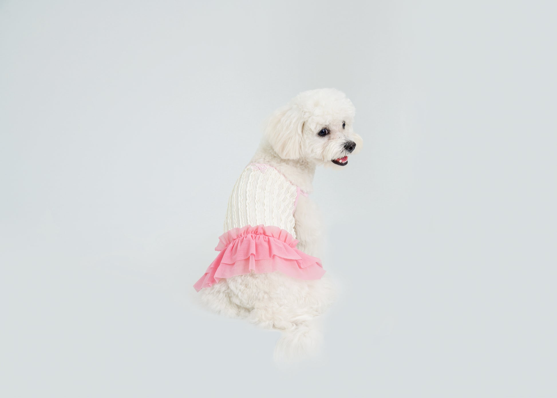 Dream Ballet（Pink）