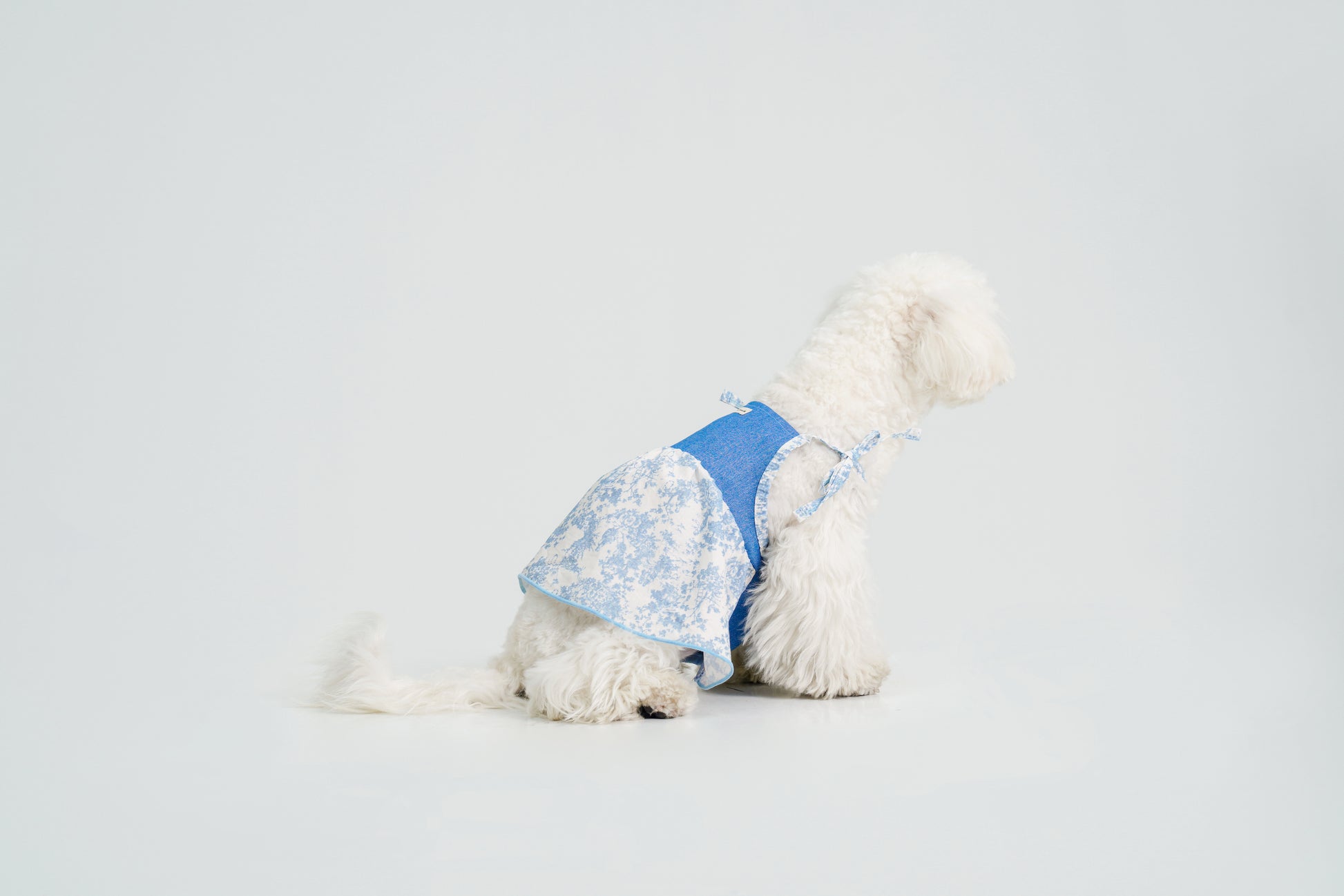 Pasture Blues （Blue）