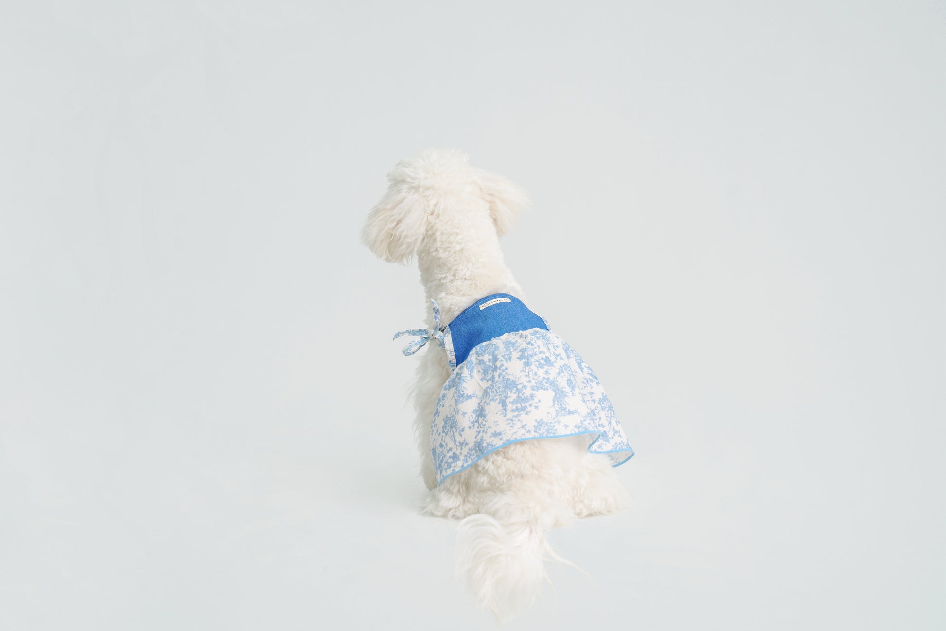 Pasture Blues （Blue）