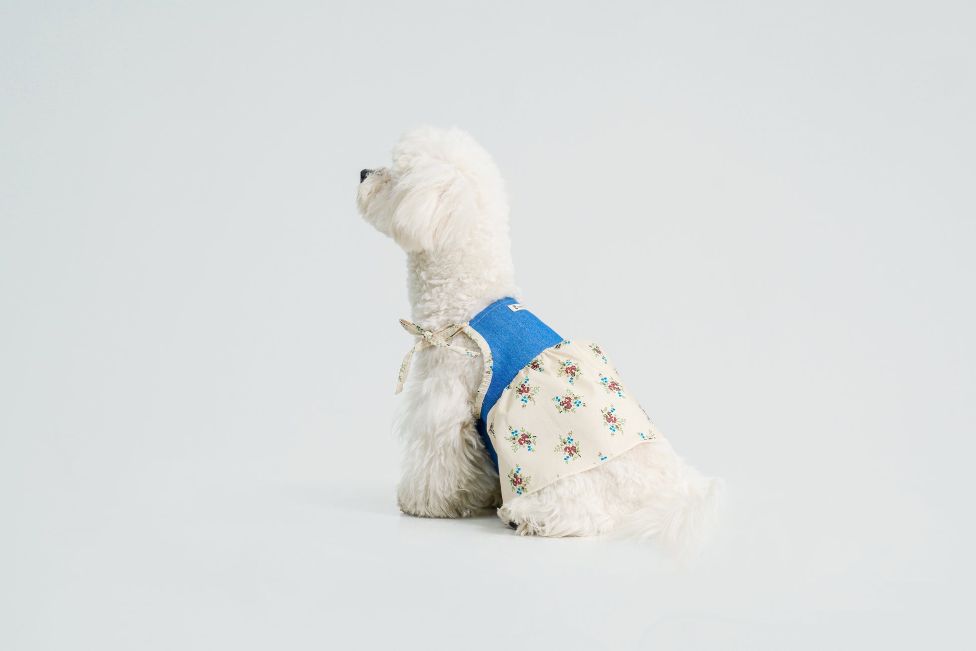Pasture Blues （Beige）