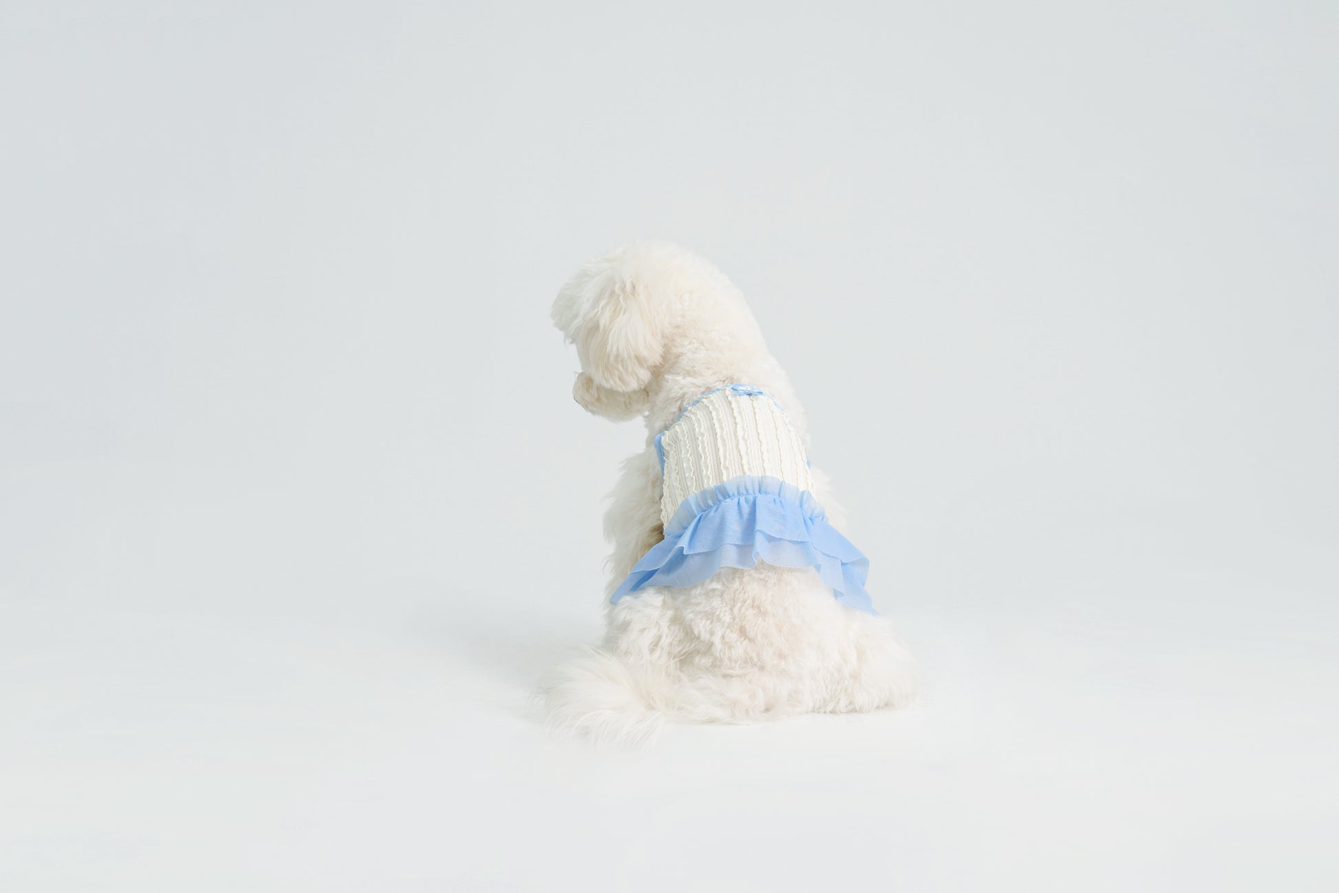 Dream Ballet（Blue）