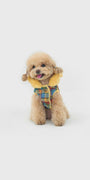 Butter Bear