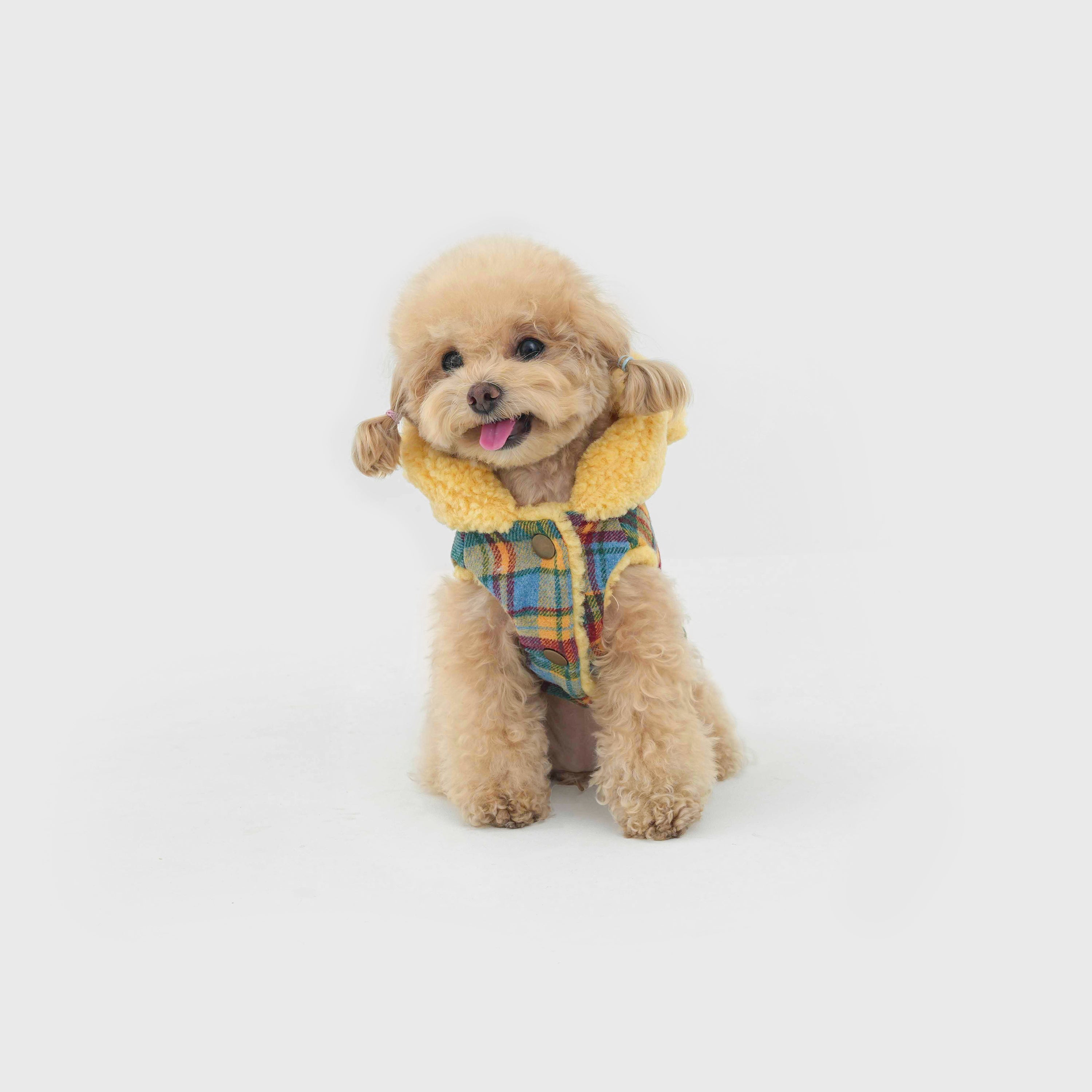 Butter Bear