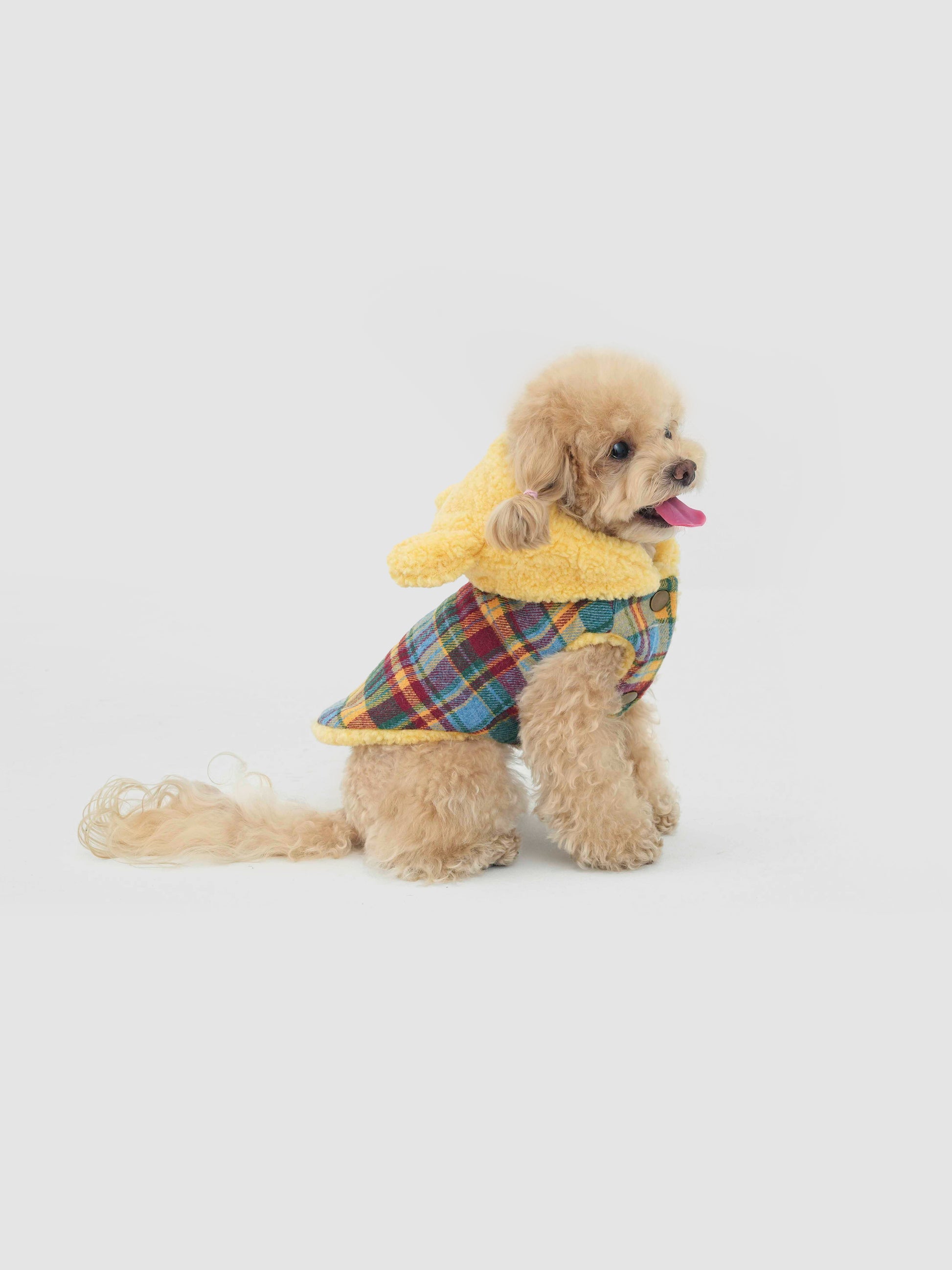 Butter Bear