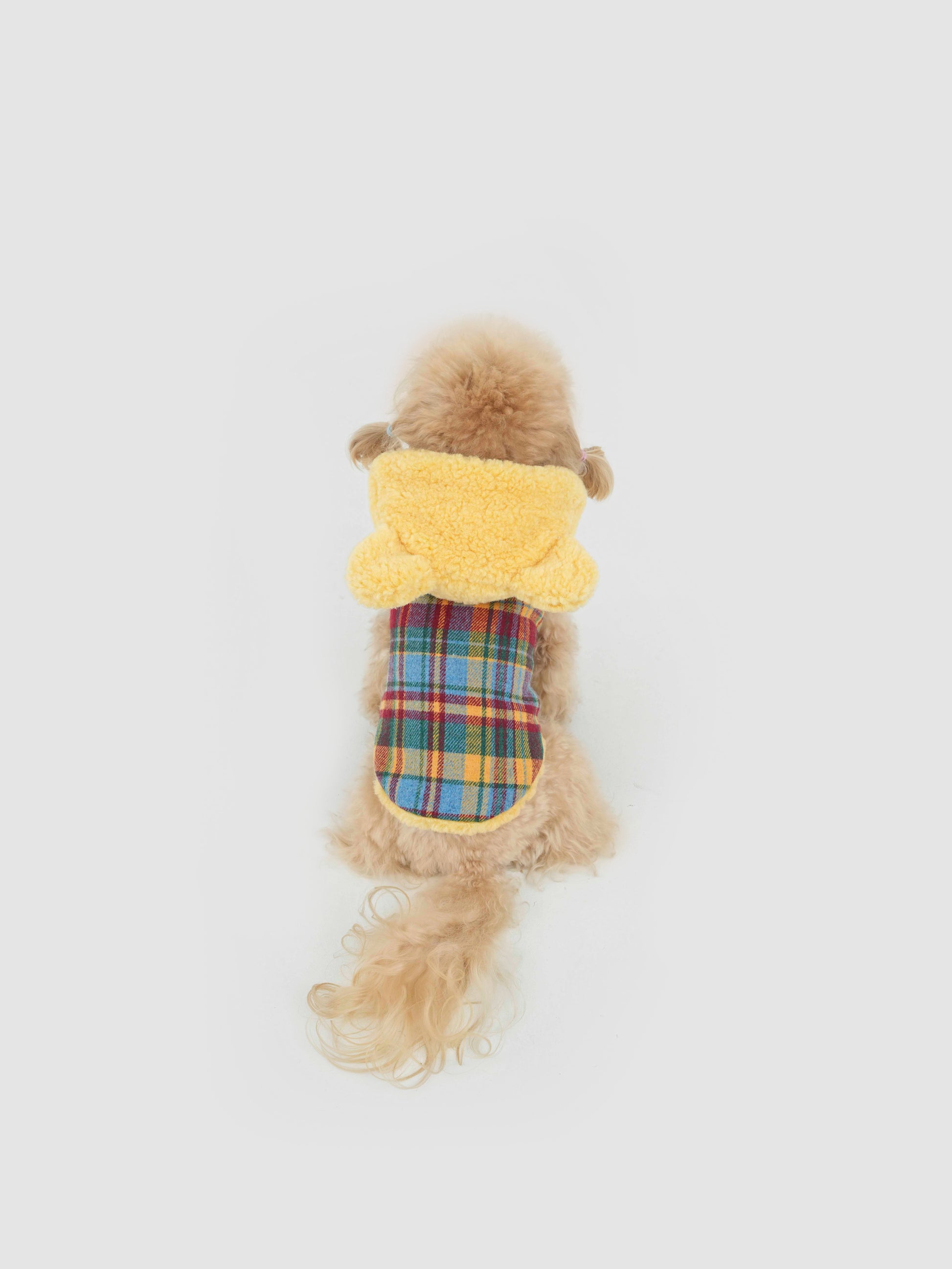 Butter Bear