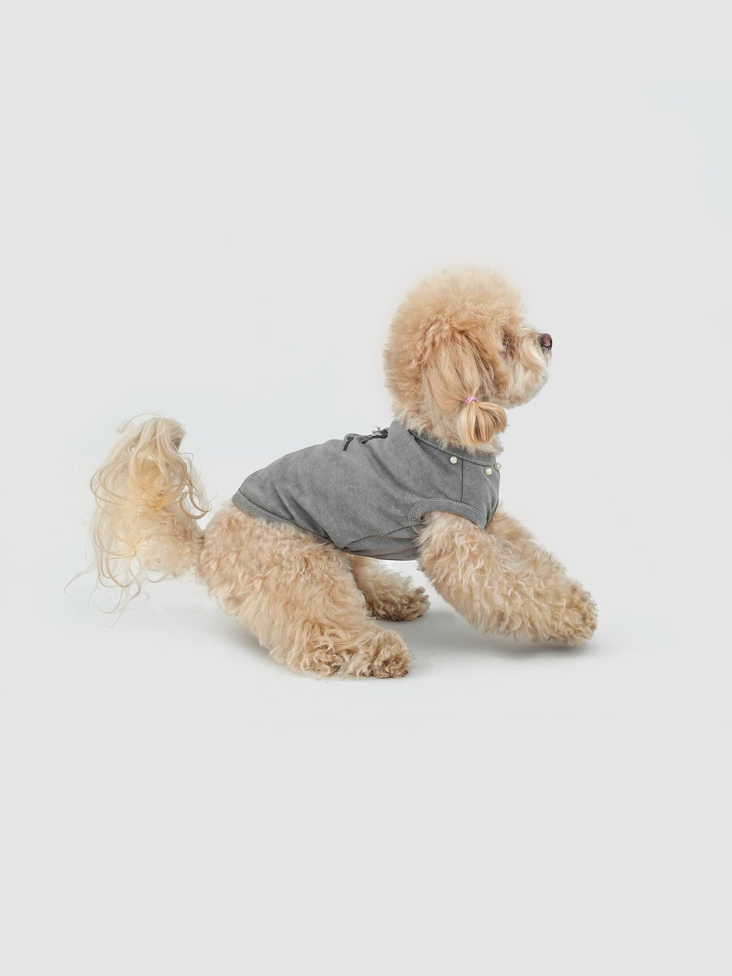 Silver-Gray Minor